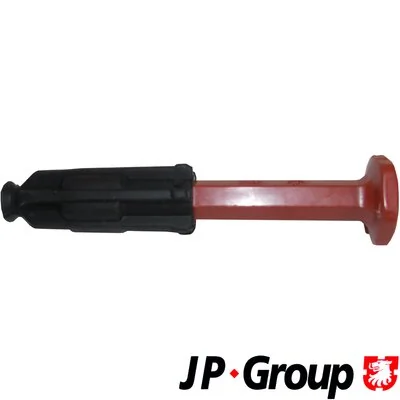 Plug, spark plug